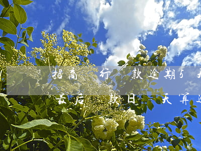 招商銀行還款逾期5天(招商銀行信用卡超過最后還款日幾天算逾期)
