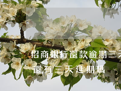 招商銀行還款逾期三天(招商銀行到期還款日,還有三天延期嗎?)