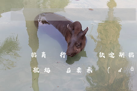 招商銀行閃電貸款逾期(招商銀行閃電貸逾期被起訴后要承擔(dān)什么責(zé)任)