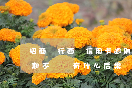 招商銀行面對信用卡逾期(招商銀行信用卡逾期不還會有什么后果)