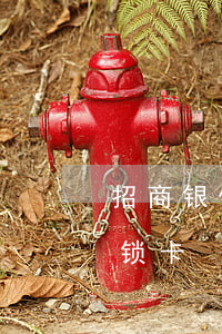 招商银信用卡逾期当地警方（招商信用卡逾期锁卡）