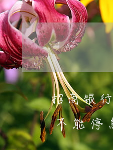 招商银行不给办理停息挂账怎么办-招行能不能停息挂账