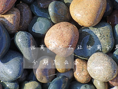 招商银行不让协商分期-招商银行不让协商分期怎么办