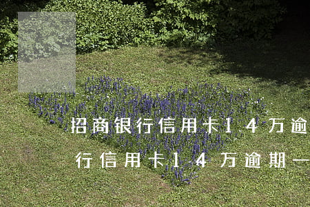 招商银行信用卡14万逾期一年了-招商银行信用卡14万逾期一年了怎么办