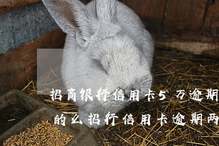 招商银行信用卡5万逾期三个月要起诉我真的么（招行信用卡逾期两个月起诉）