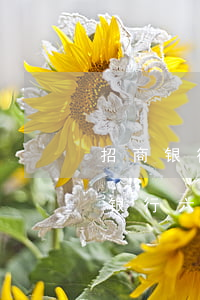招商银行信用卡6万逾期多久会被起诉（招商银行六万逾期会坐牢么）