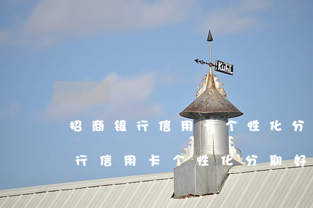 招商银行信用卡个性化分期好办吗-招商银行信用卡个性化分期好办吗安全吗