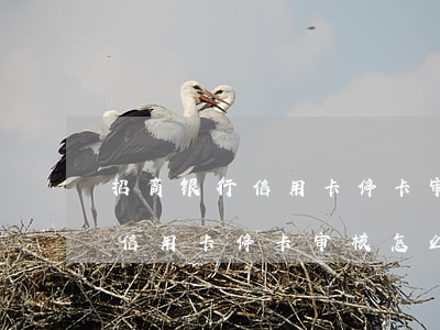 招商银行信用卡停卡审核怎么办-招商银行信用卡停卡审核怎么办啊