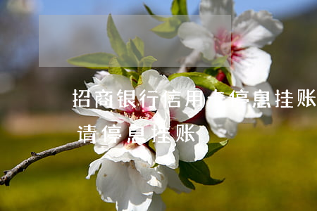 招商银行信用卡停息挂账好协商吗-招行申请停息挂账