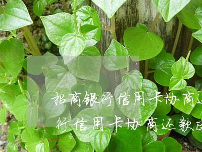 招商银行信用卡协商还款政策文件-招商银行信用卡协商还款政策文件是什么