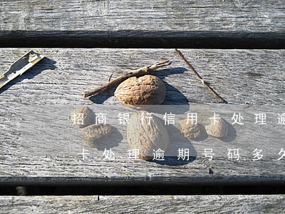 招商银行信用卡处理逾期号码 招商银行信用卡处理逾期号码多久