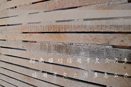 招商银行信用卡欠六万多怎么办-招商银行信用卡欠六万多怎么办呢