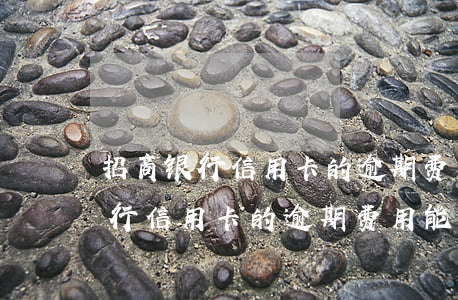 招商银行信用卡的逾期费用能要吗-招商银行信用卡的逾期费用能要吗安全吗