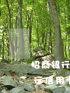 招商银行信用卡逾期12天严重吗-招商银行信用卡逾期12天严重吗怎么办