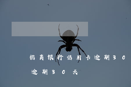 招商银行信用卡逾期30天(招商银行信用卡逾期30天)