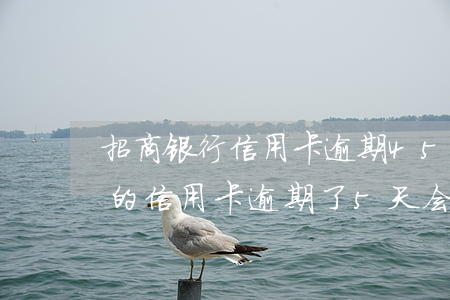 招商银行信用卡逾期45天会怎-招商银行的信用卡逾期了5天会上征信吗