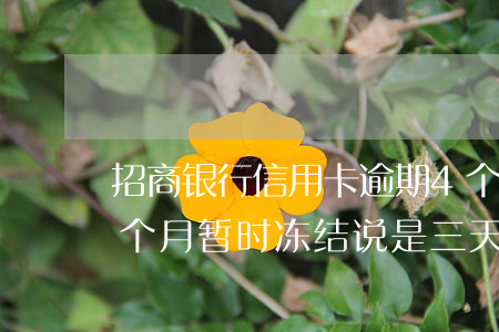 招商银行信用卡逾期4个月冻结(招行逾期两个月暂时冻结说是三天后恢复)
