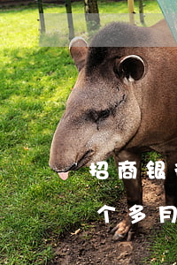 招商银行信用卡逾期4天（招商信用卡逾期四个多月）