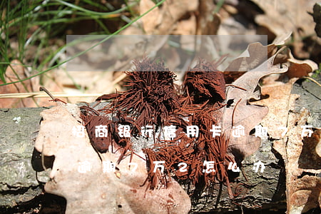 招商银行信用卡逾期7万2(招商银行信用卡逾期7万2怎么办)