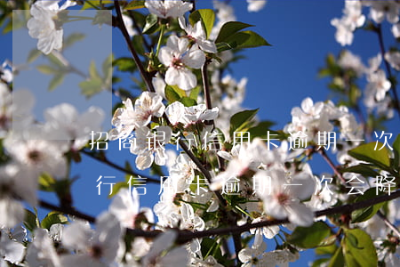 招商银行信用卡逾期一次会降额吗-招商银行信用卡逾期一次会降额吗怎么办