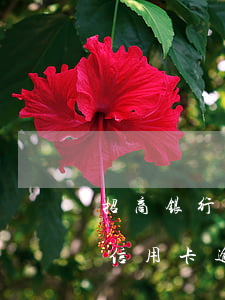 招商银行信用卡逾期一次性还清-招商银行信用卡逾期一次性还清流程