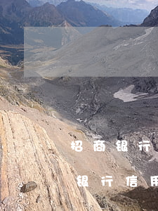 招商银行信用卡逾期上传资料怎么写-招商银行信用卡逾期上传资料怎么写的
