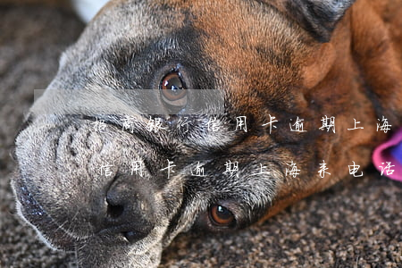 招商银行信用卡逾期上海来电话-招商银行信用卡逾期上海来电话是真的吗
