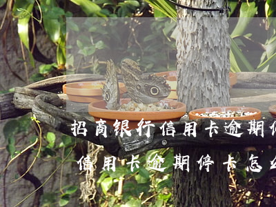 招商银行信用卡逾期停卡怎么办-招商银行信用卡逾期停卡怎么办