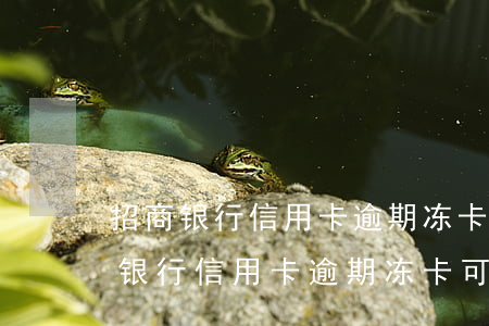 招商银行信用卡逾期冻卡可以恢复吗?-招商银行信用卡逾期冻卡可以恢复吗安全吗