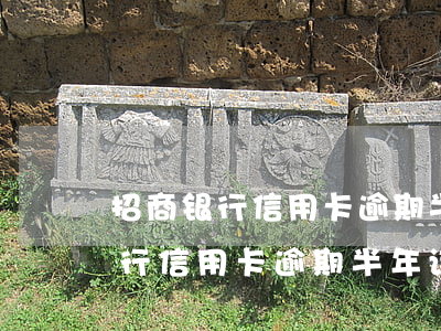 招商银行信用卡逾期半年该怎么办-招商银行信用卡逾期半年该怎么办呢
