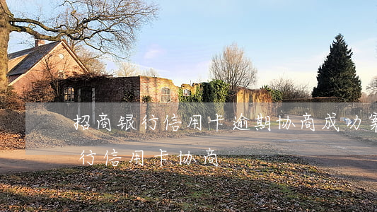 招商银行信用卡逾期协商成功案例-招商银行信用卡 协商