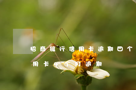 招商银行信用卡逾期四个月被立案-招商信用卡4个月逾期