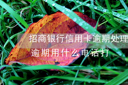 招商银行信用卡逾期处理中心打电话-招商逾期用什么电话打