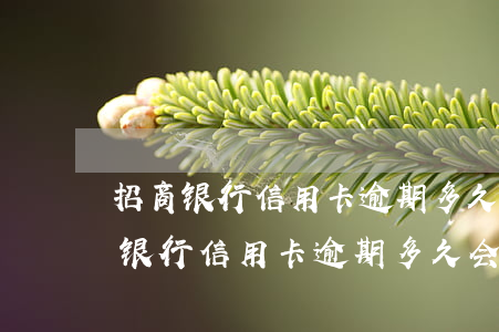 招商银行信用卡逾期多久会上征信不-招商银行信用卡逾期多久会上征信不良