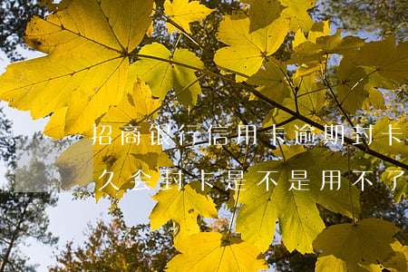 招商银行信用卡逾期封卡(招商信用卡逾期多久会封卡是不是用不了)
