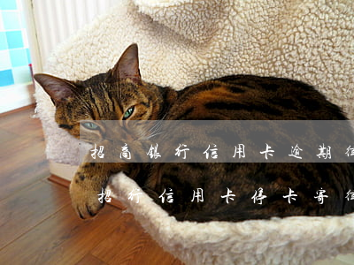 招商银行信用卡逾期律师函信息发给我了(被招行信用卡停卡寄律师函)