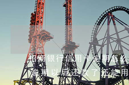 招商银行信用卡逾期怎么办还不上(招商银行逾期以后还款了还能用吗信用卡)