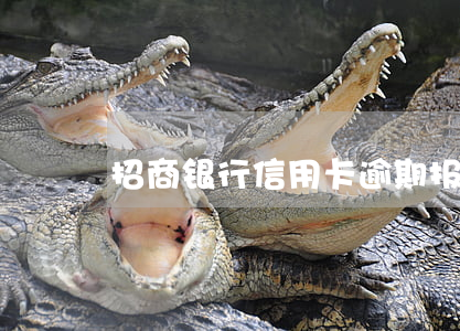 招商银行信用卡逾期报警