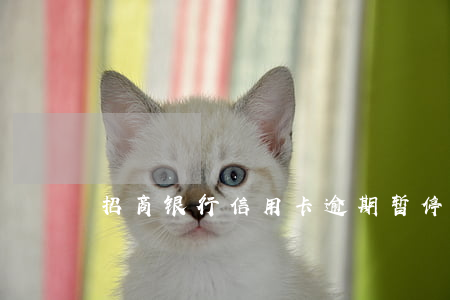 招商银行信用卡逾期暂停使用