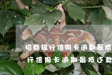 招商银行信用卡逾期最低还款额度-招商银行信用卡逾期最低还款额度是多少
