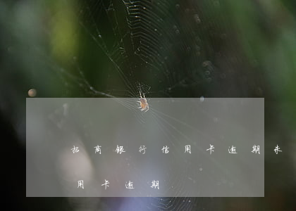 招商银行信用卡逾期未绑定工资(招商银行 信用卡 逾期)