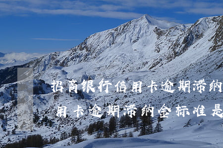 招商银行信用卡逾期滞纳金标准 招商银行信用卡逾期滞纳金标准是什么