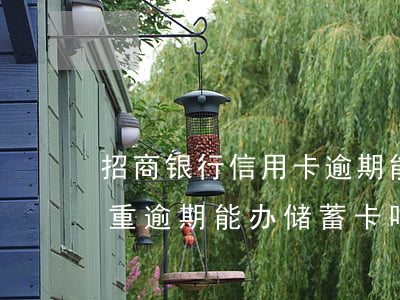 招商银行信用卡逾期能去柜台办吗-招商严重逾期能办储蓄卡吗