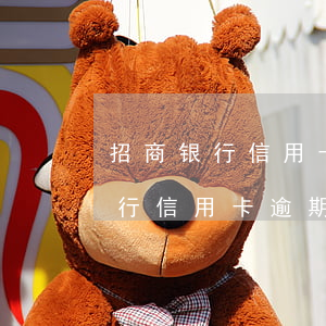 招商银行信用卡逾期还款有滞纳金-招商银行信用卡逾期还款有滞纳金吗