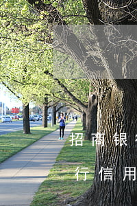 招商银行信用卡逾期违约金怎么算-招商银行信用卡逾期违约金怎么算的