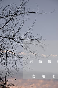 招商银行信用卡逾期销卡5年了 欠招商银行信用卡5万五,现在逾期了,真的会做牢吗