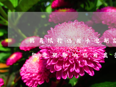 招商银行信用卡逾期额度还能用(招商银行还款逾期影响信用度多久消除)