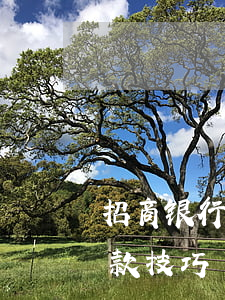 招商银行协商还款成功（招商银行逾期协商还款技巧）