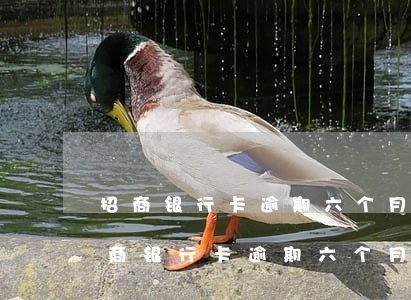 招商银行卡逾期六个月了怎么办，如何处理招商银行卡逾期六个月的问题？