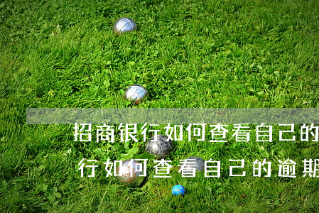 招商银行如何查看自己的逾期记录-招商银行如何查看自己的逾期记录